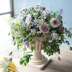 クレマチス・ウェッセルトンとオステオの花束植え#01