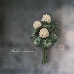 【再販】ブローチ〜クローバー＆白詰草〜