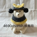 4690chottkin様専用