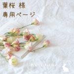 【葉桜 様専用ページ】