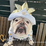 かぶれる兜 正月 こどもの日 初節句 七五三 布兜 1歳 誕生日 犬 猫 うさぎ ベビークラウン 端午の節句 バースデークラウン