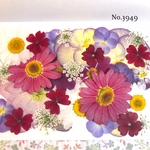 ♡new♡作家様必見♡押し花MIXセット♡押し花セット
