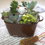 土こぼれなし･多肉植物寄せ植え♩可愛いネコ付き