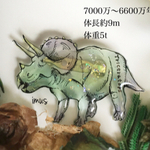 透きとおるトリケラトプスのブローチ