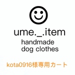 kota0916様　専用カート