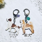 柴犬のキーホルダー　ジャックラッセルテリアのキーホルダー　わんちゃんキーホルダー　