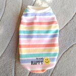 犬服！Msize！パステルボーダー！ニコちゃん