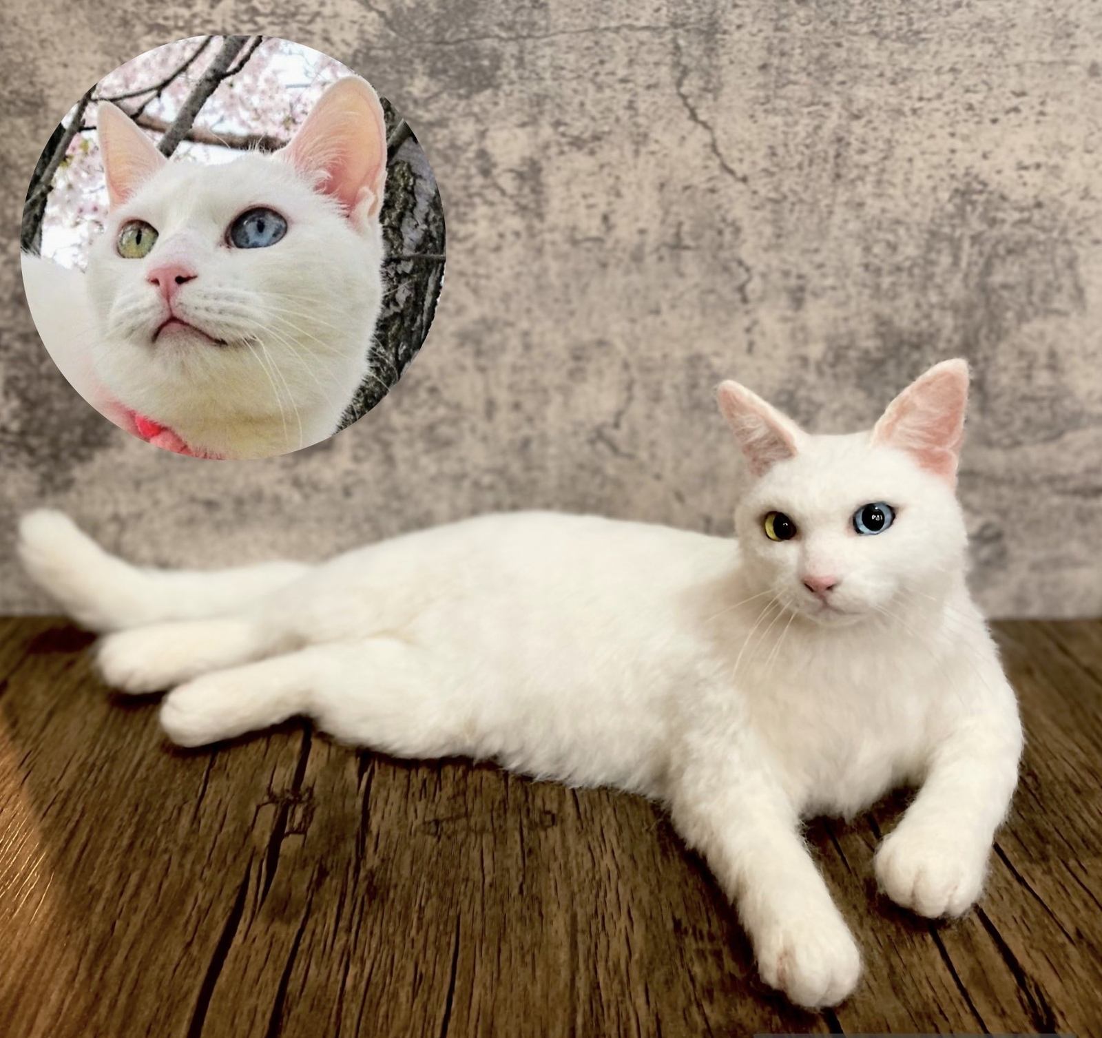羊毛フェルト 猫 ハンドメイド チョコぷりん chico＊ 羊毛フェルト 猫 ＊ シャム猫ちゃん ブローチ *・ ネコ