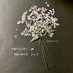 🎵木洩れ日に咲く花  シャク ＊ 押し花