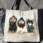 アッシュデザイン　ベストフレンズ　ビッグバッグ