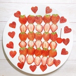 flowervert様ご注文ページ　押しフルーツ