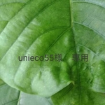 【unieco55様専用】サーキュラースカート