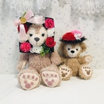 犬用❤︎顔出しシリーズ❤︎母の日フラワーBOX &ガーリーハット❤︎3way