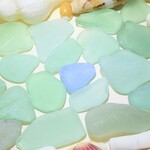 海辺の輝き　淡いグリーン系色中型サイズ徳盛カケラクラス（シーグラス）