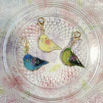 紫外線変色チャーム★サザナミインコ