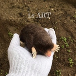 もぐら♡