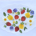 押し花＊甘酸っぱい香り🍓いちごとお花セットB