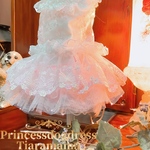 💐Princessdogdress💐ふんわりチュチュPrincessワンピース　犬服　猫服　お散歩
