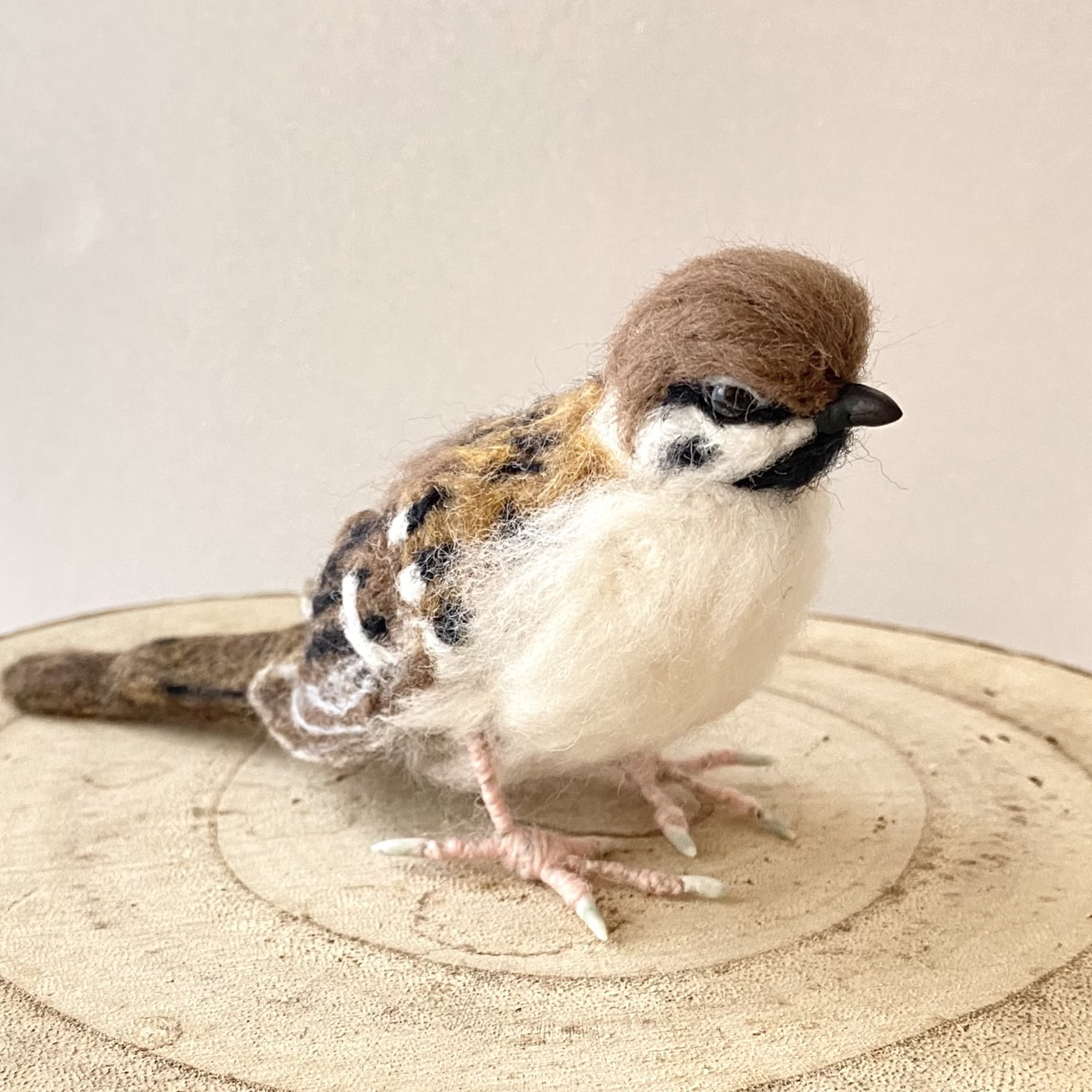 フクロウ】小さいベンガルワシミミズクちゃん /ふくろう 梟 野鳥