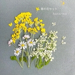 🌼小さな春の花セット ＊ 押し花