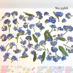 ♡new♡作家様必見♡ 人気の勿忘草がいっぱい♡ 押し花セット