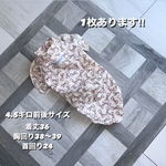 イタグレ　イタグレの服　イタグレ服