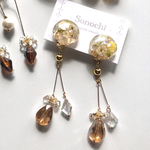  𓂂◌  蜂蜜 brown ドライフラワー ピアス/イヤリング 𓈒𓏸