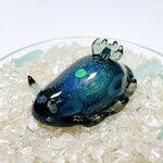 Uo173［ロンバス］宇宙を宿すガラスのウミウシ