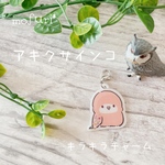 チャーム（アキクサインコ）