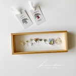 ②【Mother’s day】木箱の植物標本*wide white