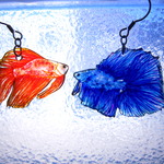 宝石魚の耳飾り