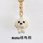 mana様専用ページ