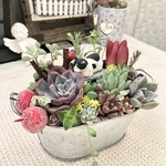 【送料無料】再販♡ポカポカ♡日向ぼっこ猫さん♪多肉植物寄せ植え　母の日　フラワーギフト