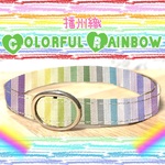 41100　播州織　colorful  rainbow＊迷子札付＊フルオーダーの軽い首輪