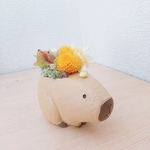〈プリザーブドフラワー〉カピバラ