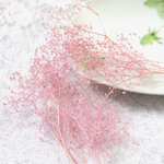 かすみ草　カスミ草　プリザーブド　パープルピンク