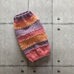 胸まわり34〜38cm/カラフルコットンのDOGセーター
