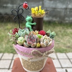★送料無料★♡そのまま飾れる♡リメ鉢♬長靴に飛び乗るカエルちゃん多肉植物寄せ植え╰(*´︶`*)╯♡