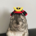 🎏ペット用 兜✨️