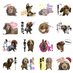 うちの子スタンプ（8個）