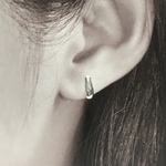 チンチラのうんピ