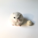 肉まんみたいなハムスター　羊毛フェルト　ハムスター　置物