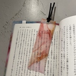 No308 しおり