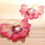 淡いレッドのミニバラピアス