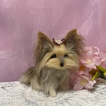 羊毛フェルト　ヨークシャテリア
