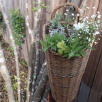 季節の花の寄せ植え　フラワーバスケット