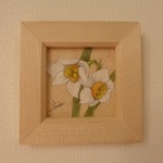 色鉛筆画　「日本水仙」　（原画・額入り）　おしげ様売約済み