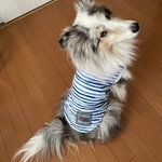 NOELくん