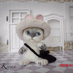 クマ耳帽子のラグドールちゃん