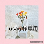 ミニチュアフラワー　アイスランドポピー　6本